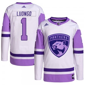 Roberto Luongo Panthers — Game Worn Goalie Jerseys